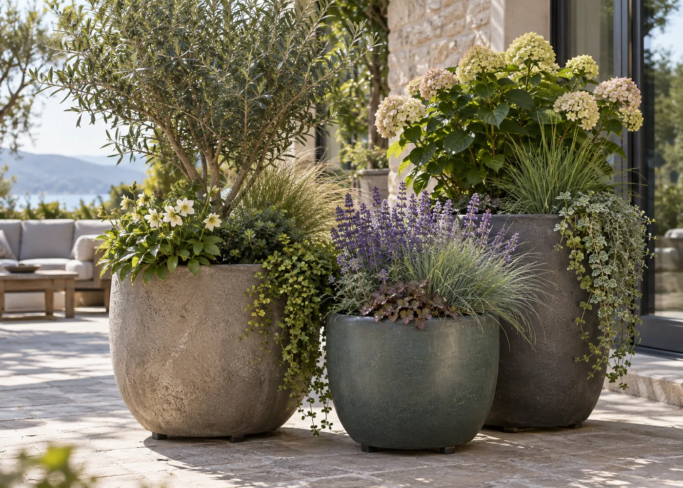 Plant Containers That Last