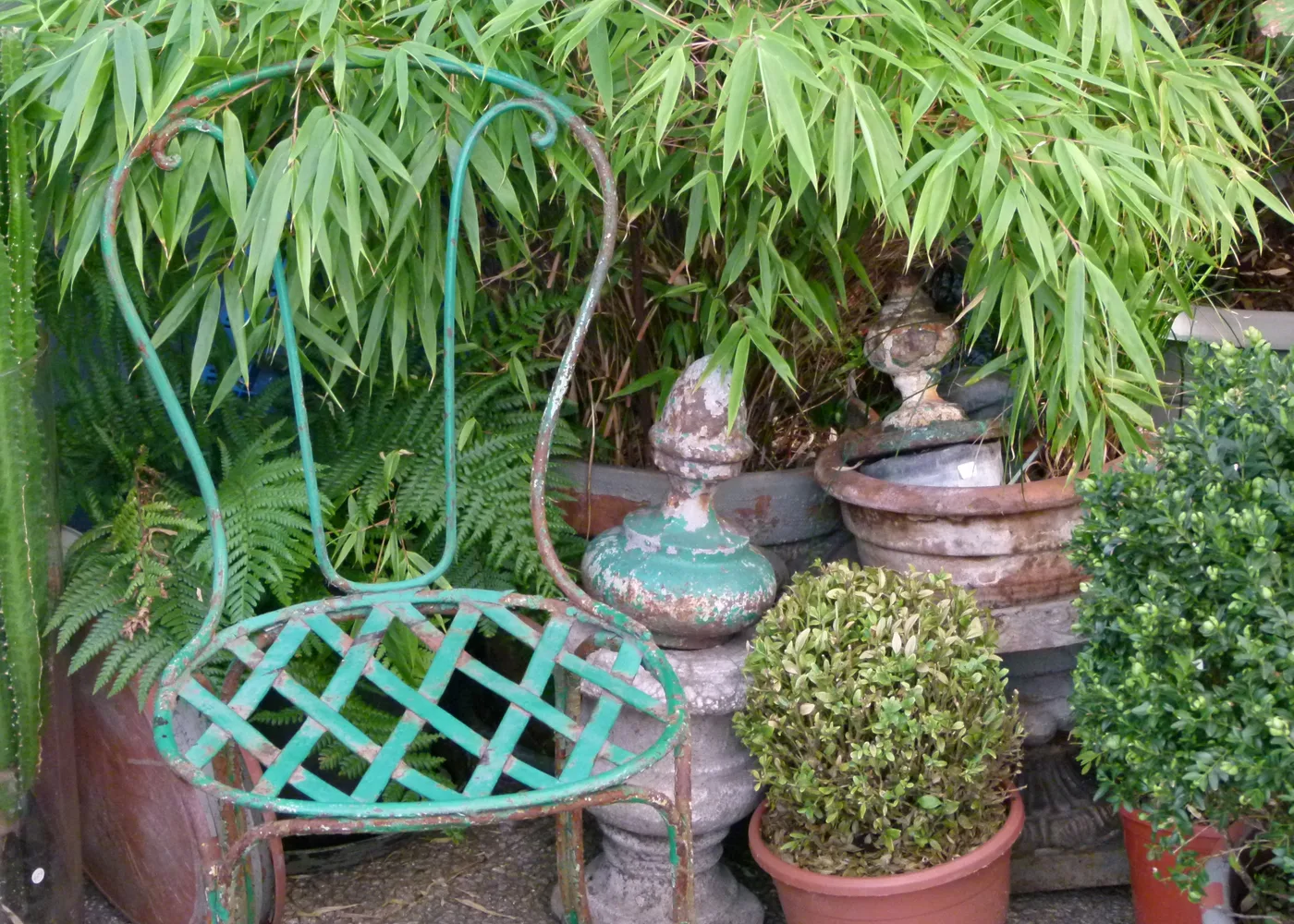 Design a Small Garden Without Overcrowding It
